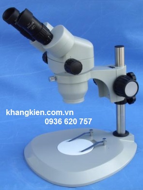 downloaded kinh hien vi soi noi bel italy model stmdlx khangkien.com .vn 5fe9858e36fa3