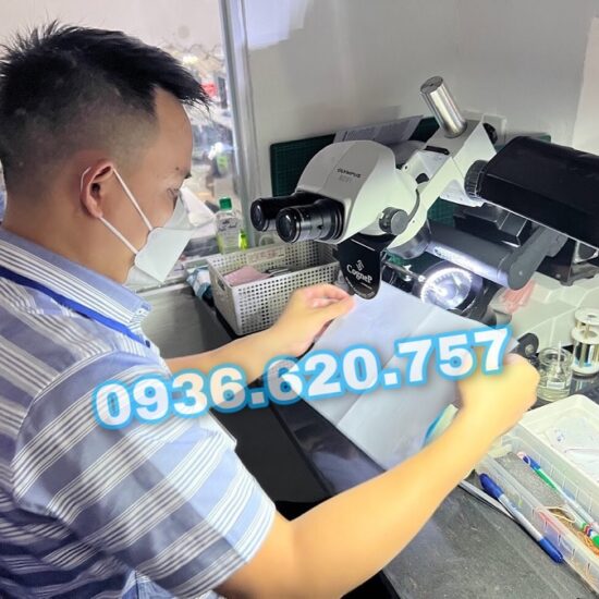 Dịch vụ bảo trì kính hiển vi soi nổi Olympus SZ51 - SZ61