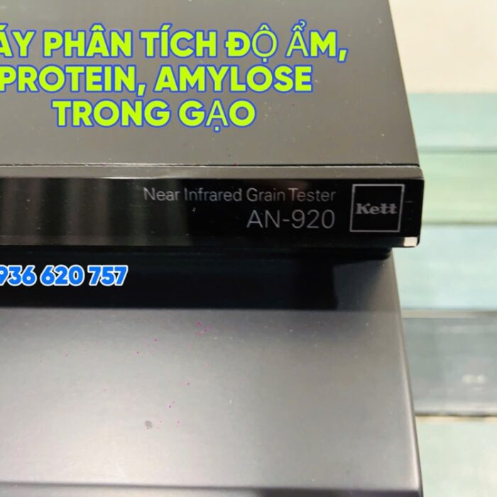 Phân tích hàm lượng protein